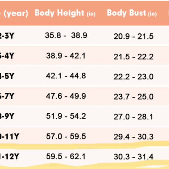 Girls Birthday Wedding & Flower Sleeveless A-Line Lace Party Dress  (11/12Years） - Picture 12 of 12